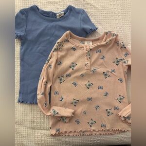Baby Gap Set of 2 Knit Tops